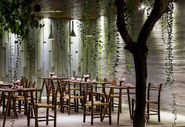 piante-da-interno-come-arredare-reference-5-1525947834
