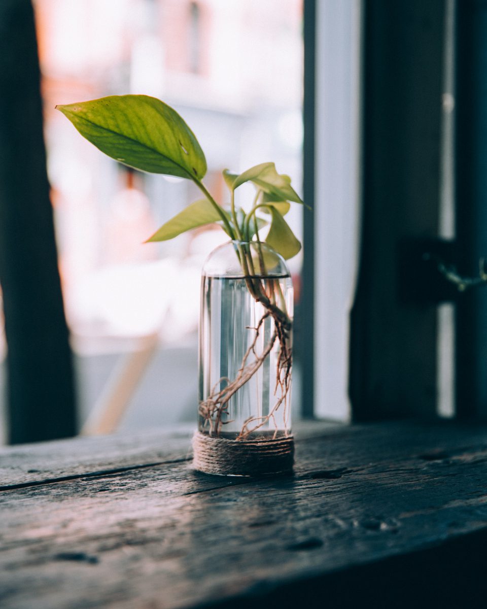 arredamento ufficio ecosostenibile